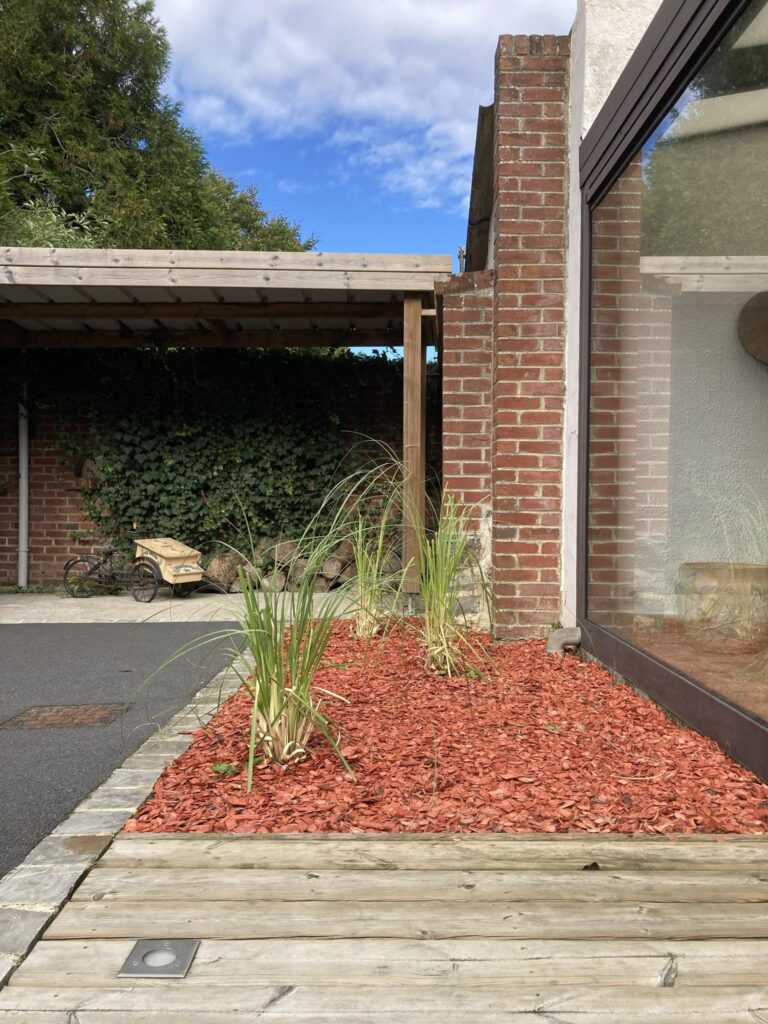 image plante de terrasse intérieure